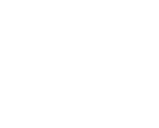 mg logo